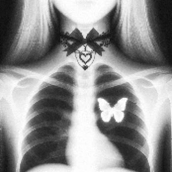 Nightfxrce Krushsexx (Slowed + Reverb) Ft Dvspair mp3